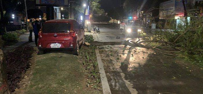  Ô tô mất lái đâm vào cây trên vỉa hè, tài xế tử vong tại chỗ: Sáng 2/12 tại đường Bạch Đằng, trước cửa số nhà 35 Bạch Đằng (phường Trần Phú, TP Hải Dương). chiếc xe ô tô do anh Nguyễn Quang V. (trú TP Hải Dương) điều khiển thì mất lái, lao lên vỉa hè, đâm đổ một cây xanh. Vụ va chạm đã khiến anh V. tử vong tại chỗ, đầu xe ô tô vỡ nát, cây xanh đổ gục. 