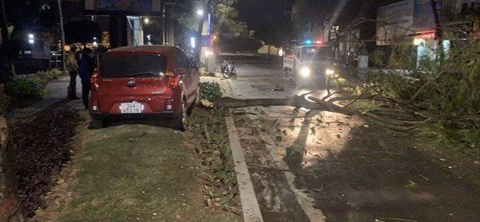  Ô tô mất lái đâm vào cây trên vỉa hè, tài xế tử vong tại chỗ: Sáng 2/12 tại đường Bạch Đằng, trước cửa số nhà 35 Bạch Đằng (phường Trần Phú, TP Hải Dương). chiếc xe ô tô do anh Nguyễn Quang V. (trú TP Hải Dương) điều khiển thì mất lái, lao lên vỉa hè, đâm đổ một cây xanh. Vụ va chạm đã khiến anh V. tử vong tại chỗ, đầu xe ô tô vỡ nát, cây xanh đổ gục. 