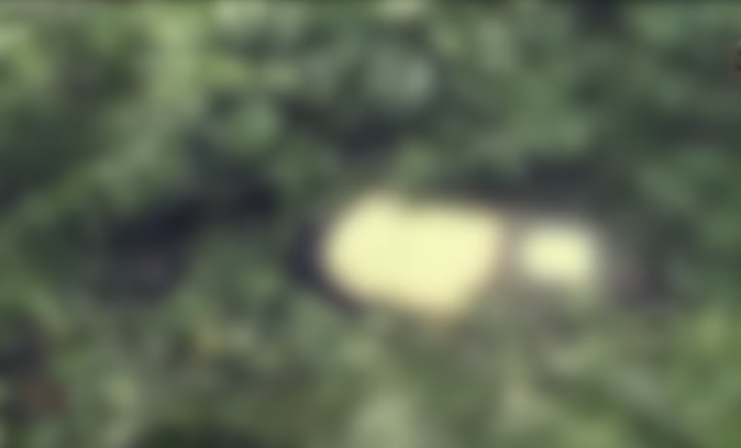 Đầu tiên, người dân phát hiện đàn trâu vẫn tha thẩn nhai cỏ giữa bãi đất trống, nhưng quanh khu vực này, không có bất kỳ dấu vết của chị Ninh. Tiếp tục tỏa đi khắp nơi, đến rạng sáng 28/7/2013, lực lượng tìm kiếm phát hiện thi thể người phụ nữ mất tích nằm sấp trong bụi rậm.