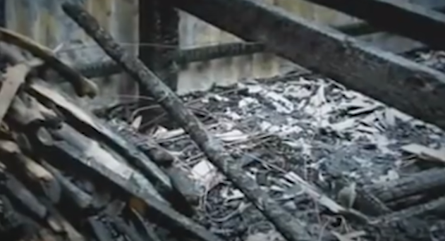 Nạn nhân nữ nhanh chóng được xác định chính là bà Đoàn Thị Cà Tha, chủ ngôi nhà. Lúc đầu lực lượng điều tra đặt ra giả thiết, có thể đây là vụ án động cơ là quan hệ tình ái. Thông qua các biện pháp nghiệp vụ và vận động quần chúng cung cấp thông tin, danh tính của nạn nhân nam được xác định là ông Đặng Văn Đúng (SN 1972), ngụ cùng ấp Đông Hòa, xã Tân Thuận Đông. Cũng theo thông tin xác minh, Đúng trước đây có quan hệ tình cảm với nạn nhân Cà Tha...