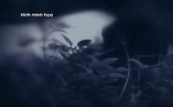 Khi vào xã Tân Thắng do trời chưa tối nên Quang bảo anh Lạng quay xe về Quỳnh Tam. Khi đến đường liên huyện Yên Thành - Quỳnh Lưu thì trời bắt đầu tối, Quang ngồi sang ghế bên trái, lấy liềm mang theo rồi dùng tay phải quàng liềm qua cứa cổ anh Lạng làm anh Lạng chết ngay sau đó. 