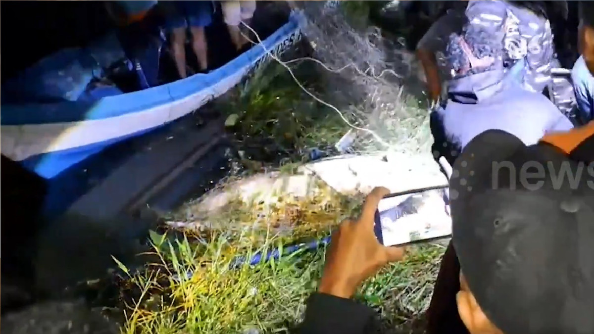 Đến khuya, con vật đã bị kéo vào bờ trước khi tìm thấy thi thể của cô bé. Người dân địa phương đã mổ bụng con cá sấu nhưng không tìm thấy thi thể nào bên trong. Ảnh: Voi.ID