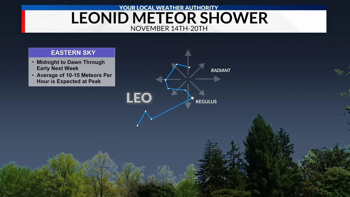 Leonids xảy ra hàng năm khi Trái Đất đi qua vệt bụi và băng do sao chổi Tempel-Tuttle để lại. Mật độ sao băng đạt đỉnh vào khoảng ngày 17 tháng 11. Những thiên thạch sáng, có thể nhiều màu sắc và di chuyển với tốc độ lên đến 71km/giây. Chúng cũng được biết đến với những vệt dài, có thể kéo dài trên bầu trời trong vài phút. Các thiên thạch dường như xuất phát từ chòm sao Leo, được đặt tên theo từ tiếng Latin có nghĩa là sư tử. Ảnh ACCU