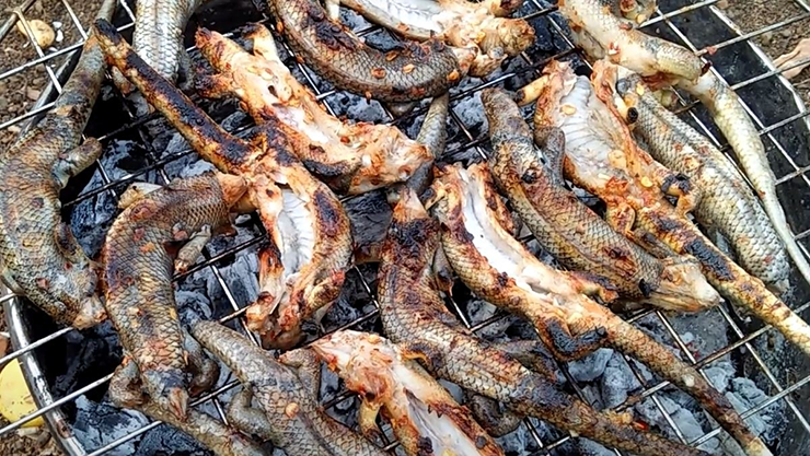 Rắn mối giống thường được bán với giá 15.000-30.000 đồng/con. Rắn mối thịt thì có giá 200.000 - 350.000 đồng/kg tùy thời điểm.