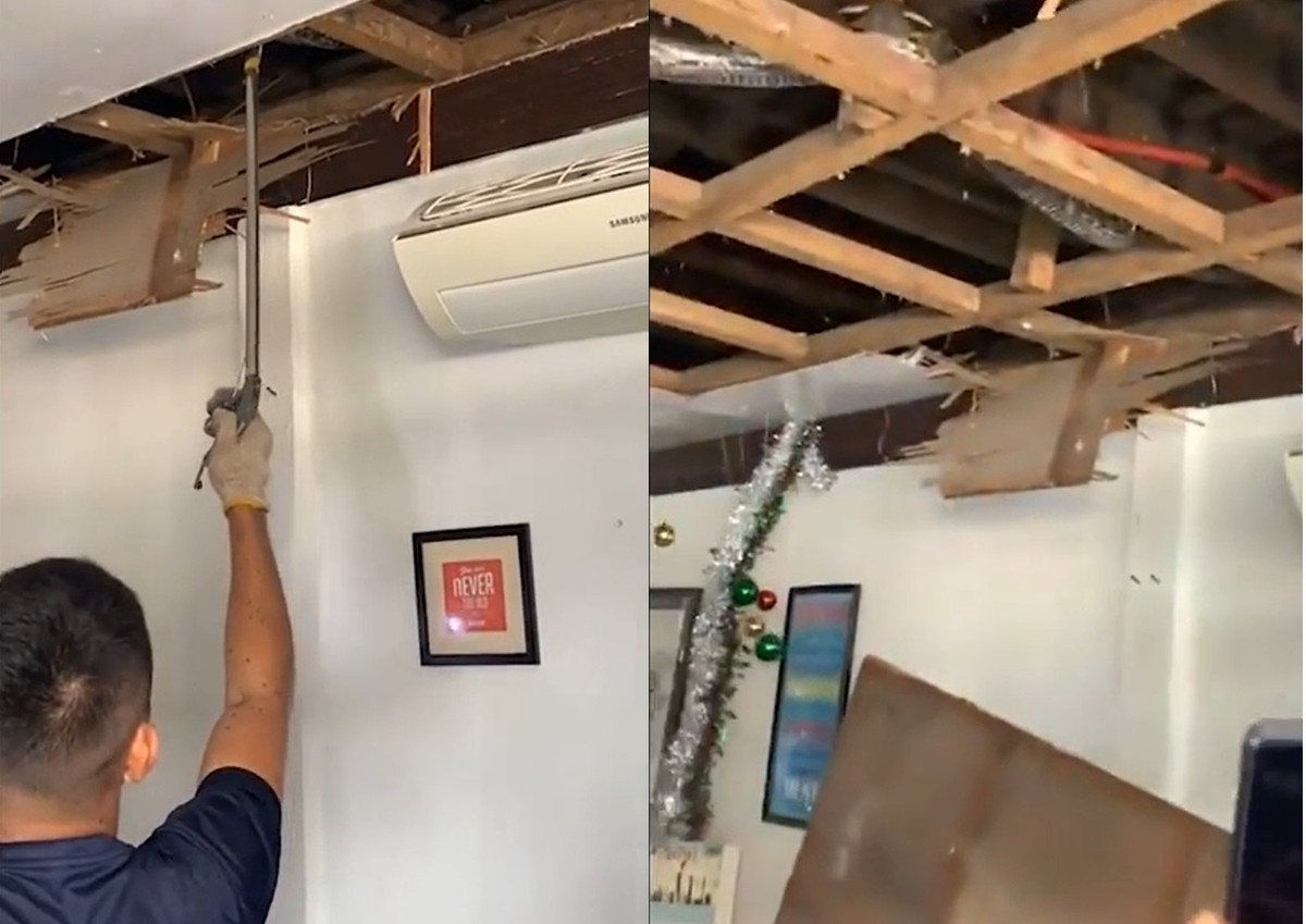 Một chủ quán cà phê ở Bohol, Philippines, nhận thấy có nhiều tiếng động lạ trên trần nhà và cho rằng có thể là do một con mèo gây ra. Ông không thể ngờ rằng đó là một con trăn khổng lồ đang trú ẩn trên đó. Ảnh trích từ clip