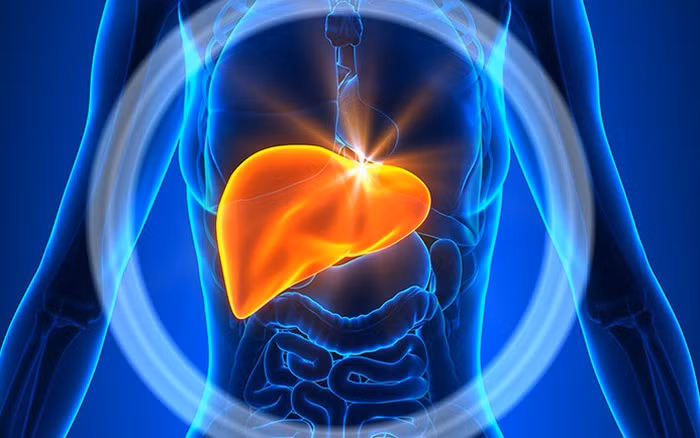 Đi vệ sinh về đêm Rất nhiều người có thói quen đi tiểu về đêm, đặc biệt là vào mùa hè. Đi tiểu về đêm không chỉ ảnh hưởng đến giấc ngủ mà còn là một biểu hiện nói lên sức khỏe của gan và thận không tốt. Gan hoặc thận dần suy yếu với các mức độ khác nhau.