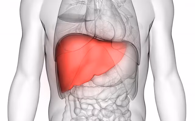 Theo y học phương Đông, gan và thận chủ yếu chịu trách nhiệm chuyển hóa chất lỏng trong cơ thể, nếu chức năng gan và thận bất thường sẽ có hiện tượng tiểu tiện nhiều lần ban đêm.