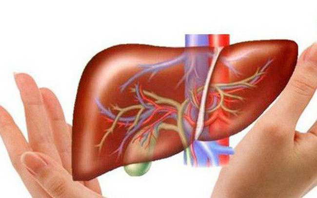 Bởi vì gan như một chu trình trao đổi chất và là cơ quan giải độc quan trọng của cơ thể con người, bình thường vào ban đêm gan cần phải tiến hành nhiệm vụ giải độc tương quan, đồng thời cải thiện chức năng của nó. Do đó, bạn luôn tỉnh giấc khi ngủ vào ban đêm, hầu hết chúng đều liên quan đến ung thư gan.