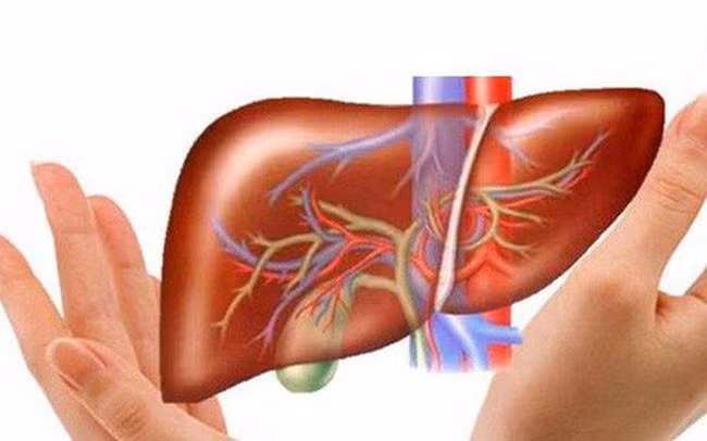 Bởi vì gan như một chu trình trao đổi chất và là cơ quan giải độc quan trọng của cơ thể con người, bình thường vào ban đêm gan cần phải tiến hành nhiệm vụ giải độc tương quan, đồng thời cải thiện chức năng của nó. Do đó, bạn luôn tỉnh giấc khi ngủ vào ban đêm, hầu hết chúng đều liên quan đến ung thư gan.