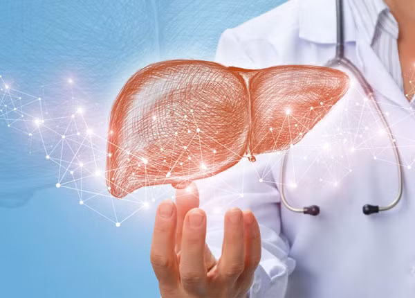 Do đó, bệnh nhân cảm thấy buồn nôn, nôn ói. Đôi khi bạn ngủ vào ban đêm, triệu chứng này rất rõ ràng và làm giảm chất lượng giấc ngủ. Do đó, sau khi phát hiện ra sự bất thường này, cần phải điều trị càng sớm càng tốt để ổn định sức khỏe gan.