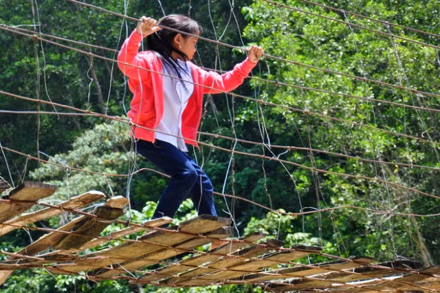 Cây cầu được dựng tạm từ tre nứa, lồ ô cùng với những sợi dây thép, dây kẽm mỏng manh, hiện đã xuống cấp trầm trọng sau nhiều năm sử dụng.Cho đến khi địa phương có đủ ngân sách xây cây cầu khác kiên cố hơn thì những em học sinh ở vùng quê nghèo này vẫn phải hằng ngày đi học trên một cây cầu treo mới nhìn qua đã thấy "thót tim".