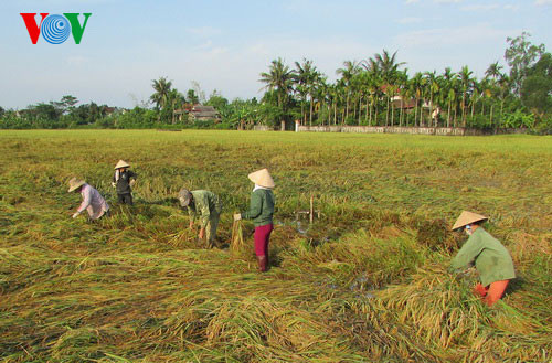 Thống kê ban đầu, lốc xoáy làm hơn 120 nhà dân, nhiều công trình công cộng như trạm y tế xã, trường học ở các xã Vĩnh Giang, Vĩnh Sơn, huyện Vĩnh Linh và xã Trung Sơn, Gio Mỹ, Trung Giang huyện Gio Linh bị sập và tốc mái. Thiệt hại nặng nhất là nhiều diện tích lúa, hoa màu vụ đông xuân của bà con vừa chín tới chưa kịp thu hoạch bị ngã đổ.