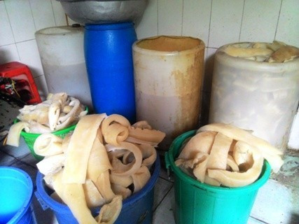 Hai hung dung oxy gia, javen, phan bon tay trang bong bi