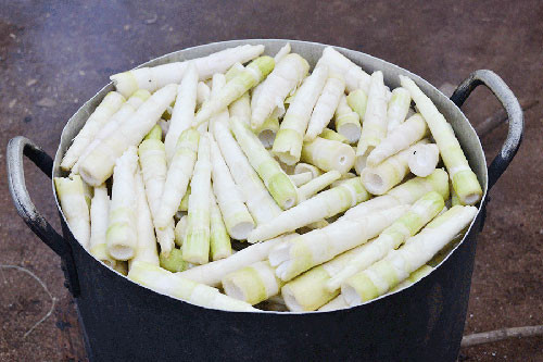 6 cach khu doc mang tuoi don gian, an toan nhat