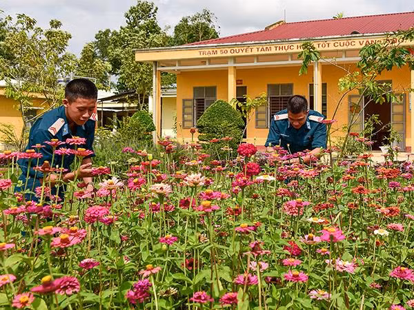 Chăm sóc vườn hoa cây cảnh.