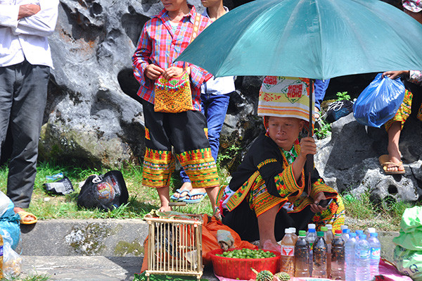 Những chú chim chào mào rừng cũng được bà con người Dao nhốt trong chiếc lồng gỗ xách ra bày bán tại phiên chợ. Chim chào mào rừng sống ngoài tự nhiên nên lông mượt, đuôi dài rất đẹp mắt.