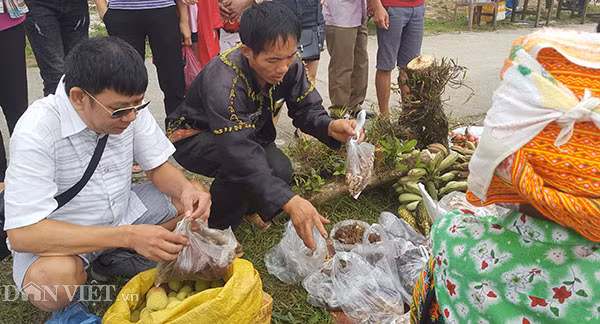 Chuối rừng là loại chuối có hột, quả bé hơn chuối thường có màu xanh đậm, có quả pha chút màu hơi tím ở vỏ. Chuối được người Dao trên bản săn tìm và chặt hái mang ra chợ bán cho du khách để ngâm rượu. 