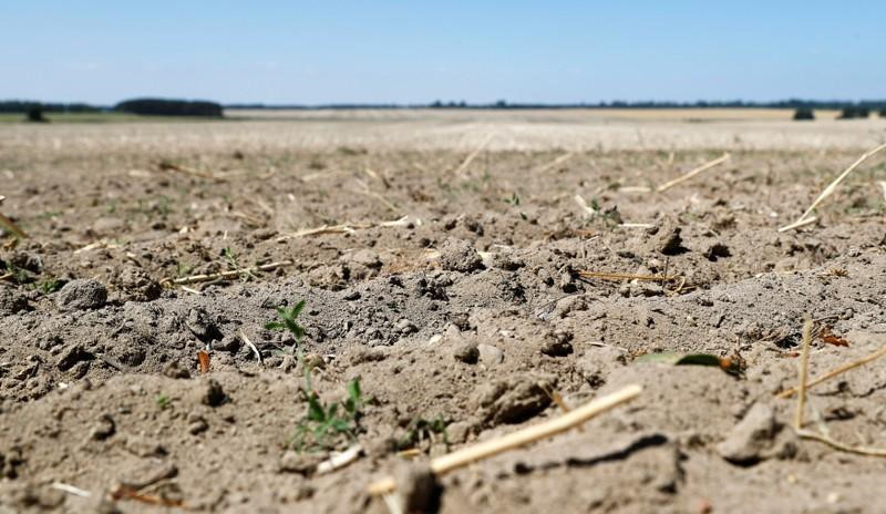 “Trời gần như không có hạt mưa nào từ tháng 4”, Juliane Stein, một nông dân cho biết. Theo giới chức nước này, hạn hán đã khiến ít nhất 30% vụ mùa bị thiệt hại. Joachim Rukwied, chủ tịch Hiệp hội Nông dân Đức, ước tính thiệt hại có thể lên tới 1,6 tỷ USD. Nông trại cằn cỗi vì nắng hạn ở Brandis, phía nam Berlin, Đức. Ảnh: Reuters.