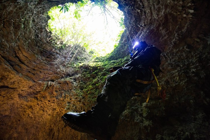 Đu dây xuống hang sâu.