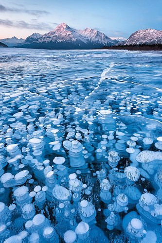 Bong bóng khí metan tuyệt đẹp ở hồ Abraham, Canada.