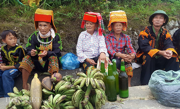 Toàn thân cây chuối hột rừng đều có thể làm thuốc chữa nhiều loại bệnh khác nhau. Trái chuối hột rừng có tác dụng chữa bệnh tiểu đường, viêm thận, tăng huyết áp. Có bài thuốc dân gian cho rằng khoét cây chuối hột rừng ở gần gốc, lấy nước từ thân cây uống, sẽ giúp hạ đường huyết tự nhiên với người bị bệnh tiểu đường. 