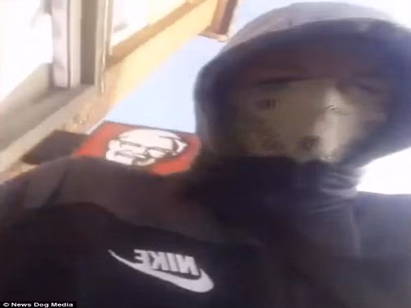 Ten trom tao ton dang qua trinh gay an roi nho moi nguoi goi y muc tieu tiep