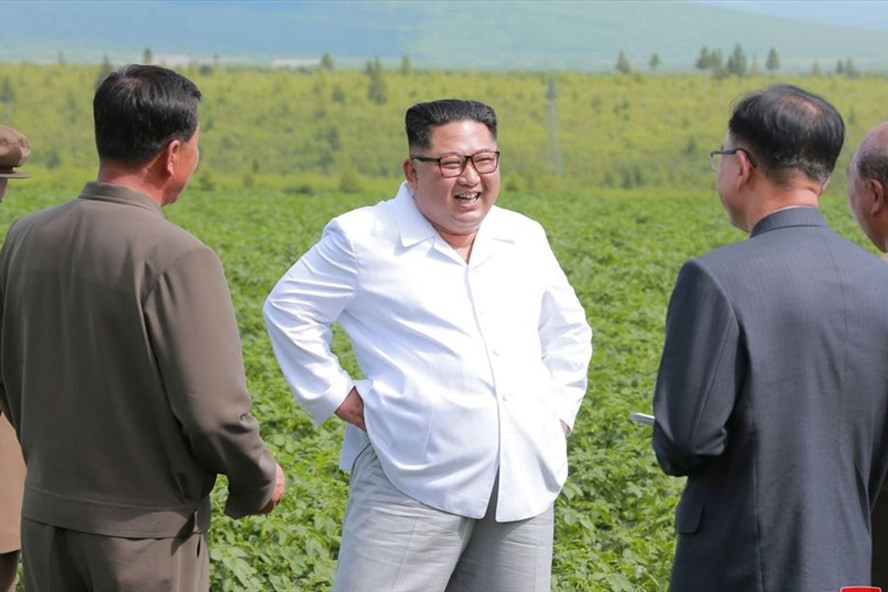 Ông Kim Jong-un thăm trang trại trồng khoai tây. Ảnh: KCNA.