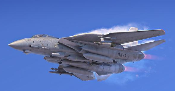 F-14 đã phục vụ liên tục trong quân đội Mỹ hơn 30 năm, trải qua nhiều phiên bản nâng cấp khác nhau; phiên bản hiện đại nhất trước khi loại biên là F-14D Super Tomcat, được trang bị động cơ kiểu mới F110-GE-400 của General Electric và một số thiết bị tác chiến điện tử tiên tiến, do vậy hiệu suất chiến đấu tổng thể đã được nâng cao rất nhiều.