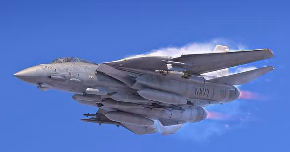 F-14 đã phục vụ liên tục trong quân đội Mỹ hơn 30 năm, trải qua nhiều phiên bản nâng cấp khác nhau; phiên bản hiện đại nhất trước khi loại biên là F-14D Super Tomcat, được trang bị động cơ kiểu mới F110-GE-400 của General Electric và một số thiết bị tác chiến điện tử tiên tiến, do vậy hiệu suất chiến đấu tổng thể đã được nâng cao rất nhiều.