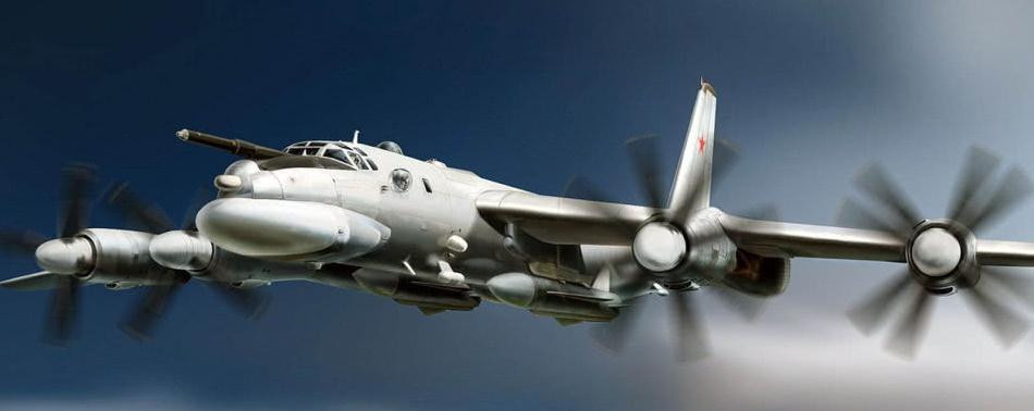 Sau khi Liên Xô tan rã, Ukraine được hưởng 70 máy bay ném bom Tu-95 của Không quân Liên Xô, nhưng phần lớn số máy bay này đã hết niên hạn sử dụng.