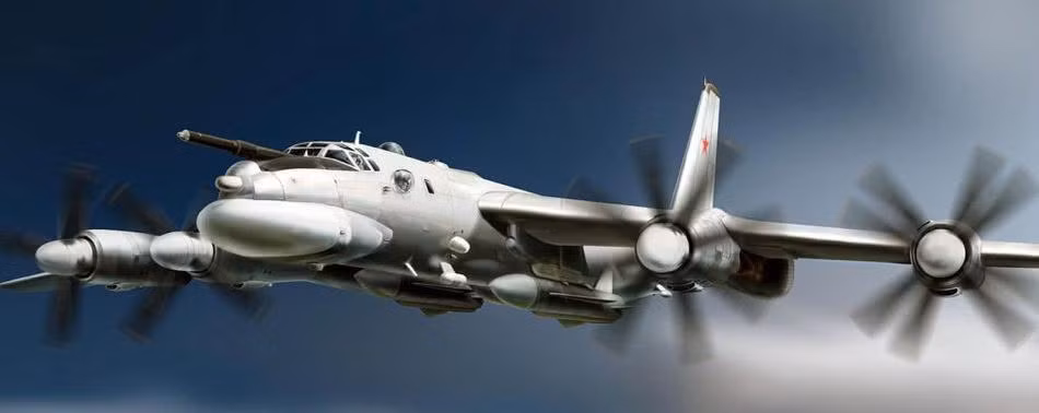 Sau khi Liên Xô tan rã, Ukraine được hưởng 70 máy bay ném bom Tu-95 của Không quân Liên Xô, nhưng phần lớn số máy bay này đã hết niên hạn sử dụng.