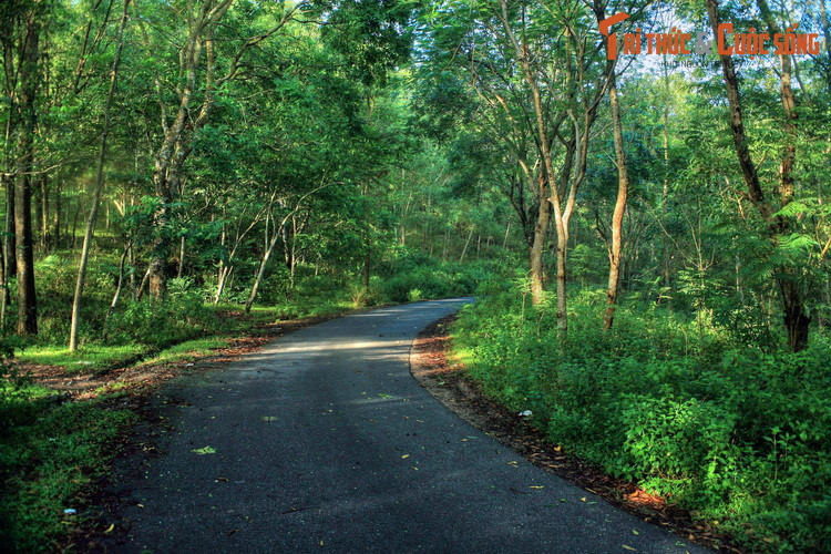 Cảnh quan trên núi khá đẹp, với những cung đường uốn lượn dưới bóng cây xanh, phù hợp cho các hoạt động dã ngoại. Từ nhiều điểm cao có thể phóng tầm mắt bao quát cảnh biển của Sầm Sơn.