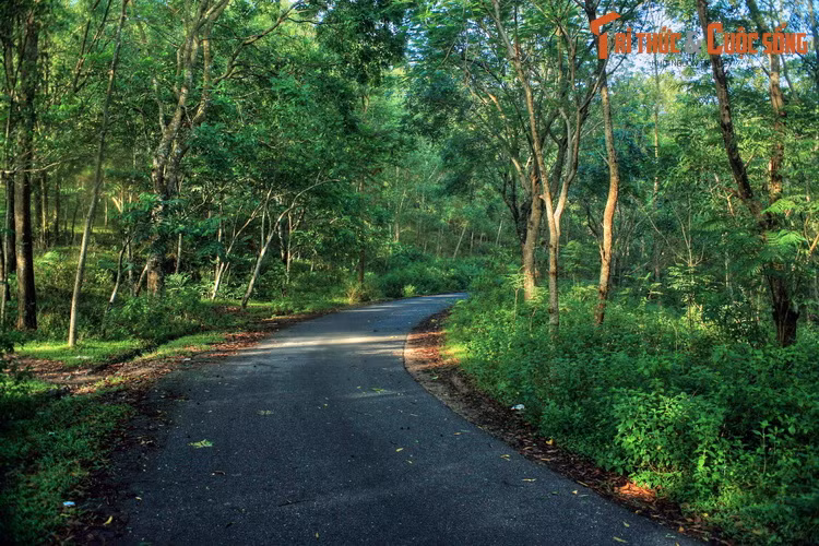 Cảnh quan trên núi khá đẹp, với những cung đường uốn lượn dưới bóng cây xanh, phù hợp cho các hoạt động dã ngoại. Từ nhiều điểm cao có thể phóng tầm mắt bao quát cảnh biển của Sầm Sơn.