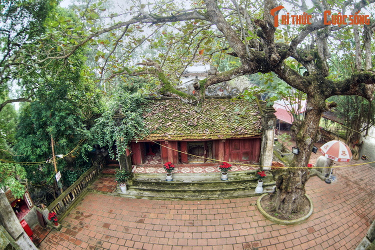 Đền Tô Hiến Thành nằm trên sườn phía Bắc núi Trường Lệ. Đây là một trong 72 ngôi đền ở Thanh Hóa thờ Thái úy Tô Hiến Thành - viên quan văn võ song toàn, nổi tiếng là công minh chính trực thời Lý.