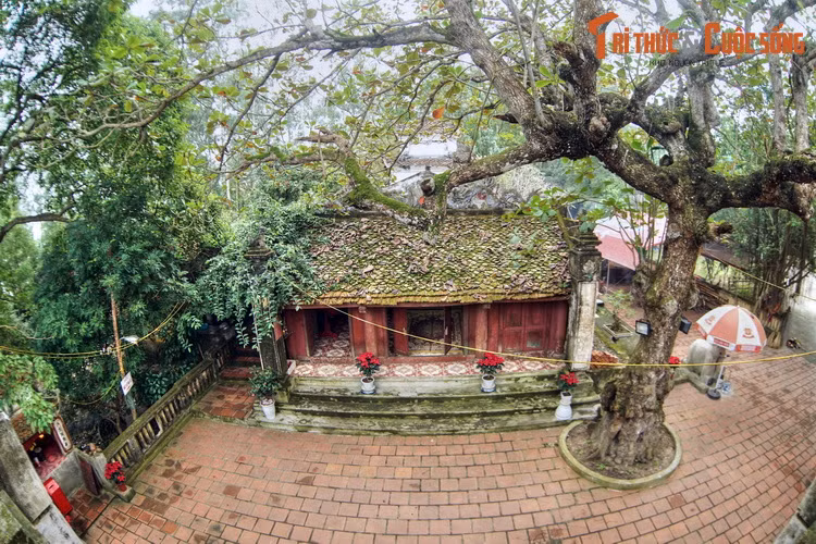 Đền Tô Hiến Thành nằm trên sườn phía Bắc núi Trường Lệ. Đây là một trong 72 ngôi đền ở Thanh Hóa thờ Thái úy Tô Hiến Thành - viên quan văn võ song toàn, nổi tiếng là công minh chính trực thời Lý.