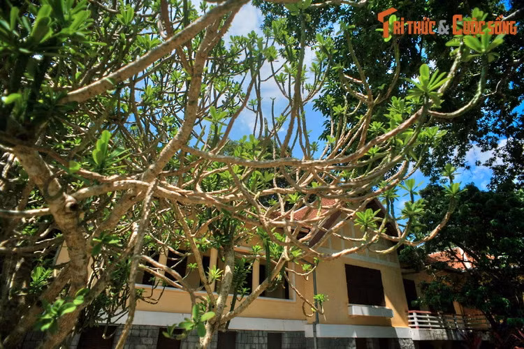 Lãnh đạo Bảo tàng Đắk Lắk cho biết, sắp tới sẽ tổ chức mở cửa, trưng bày, tổ chức trải nghiệm trong không gian Biệt điện, nhằm giới thiệu đến công chúng không gian sống, làm việc của cựu hoàng Bảo Đại và nét văn hóa phong kiến Việt Nam xưa.