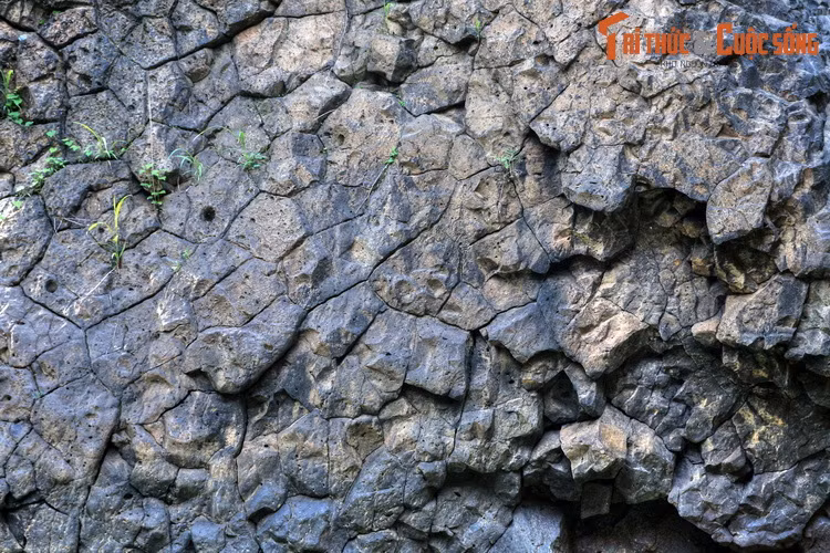 Từ đây, những khối nham thạch rạn nứt theo mạch dọc, xiên, ngang kiến tạo nên dạng địa hình độc đáo... Theo các nhà khoa học, trong quá khứ, khu vực Đắk Nông, Đắk Lắk từng là biển.