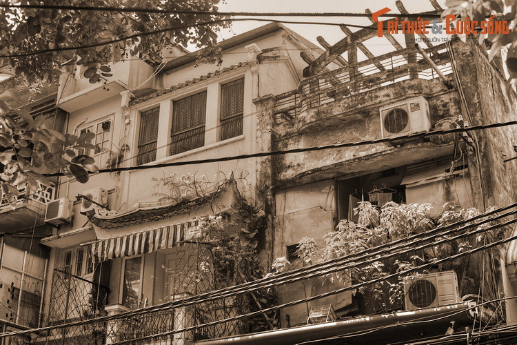 “...Đồng tiền An Nam bất tiện không chỉ vì nặng và cồng kềnh mà còn vì giòn, dễ gãy. Đó là một hợp kim kẽm, thiếc và đất, không chịu được va chạm...”.