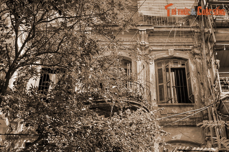 “...Ở phố này còn có thợ đúc bạc nén. Đó là những thoi bạc nhỏ, vuông bốn góc, dài bốn, năm xentimét, trọng lượng và độ dày không nhất định, là bạc gần nguyên chất...”.