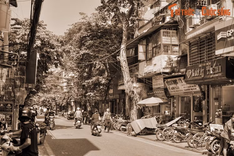 Trong 36 phố phường Hà Nội, phố Hàng Bạc nổi tiếng là nơi tề tựu những người thợ lành nghề trong kỹ thuật chế tác đồ vàng bạc của đất kinh kỳ. Ít ai biết rằng trong quá khứ, con phố này từng gắn với một nghề đặc biệt, đó là nghề đổi tiền.