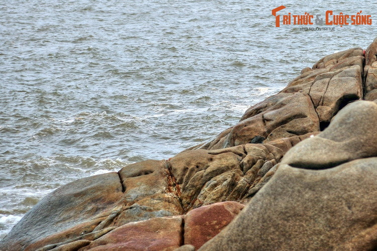 Theo các nhà địa chất học, bãi đá có tuổi đời hàng trăm triệu năm, hình thành cùng với sự vận động địa chất tạo nên dãy núi Trường Lệ.