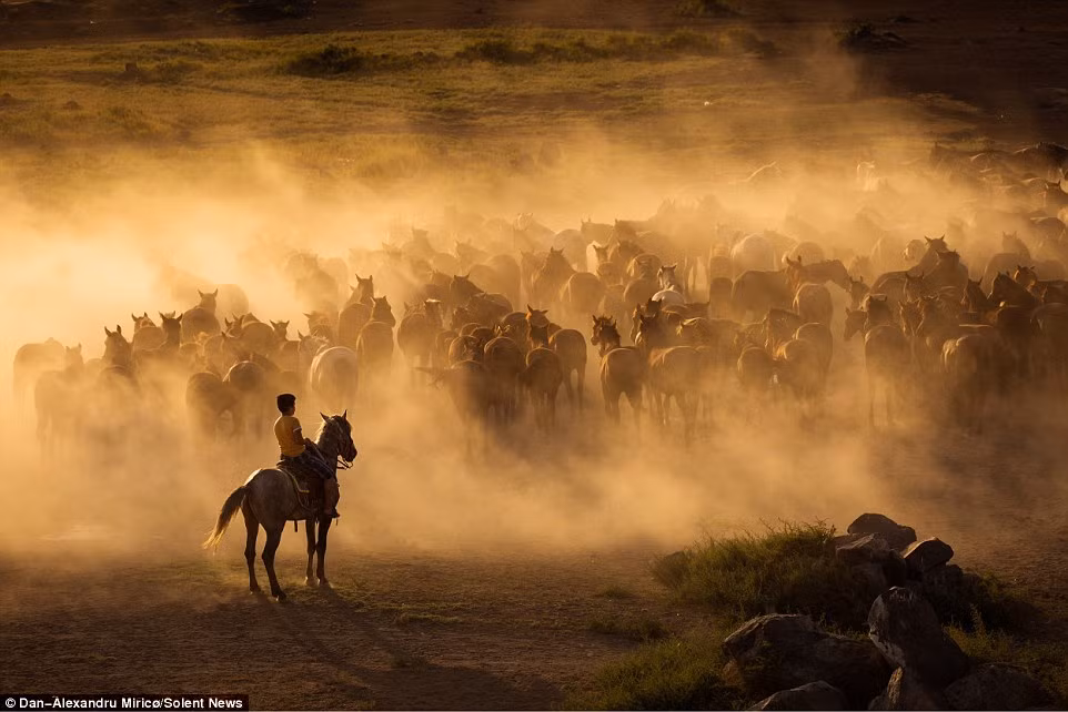 Những hình ảnh này khiến nhiều người nhớ lại bối cảnh trong phim cao bồi miền Tây nước Mỹ.