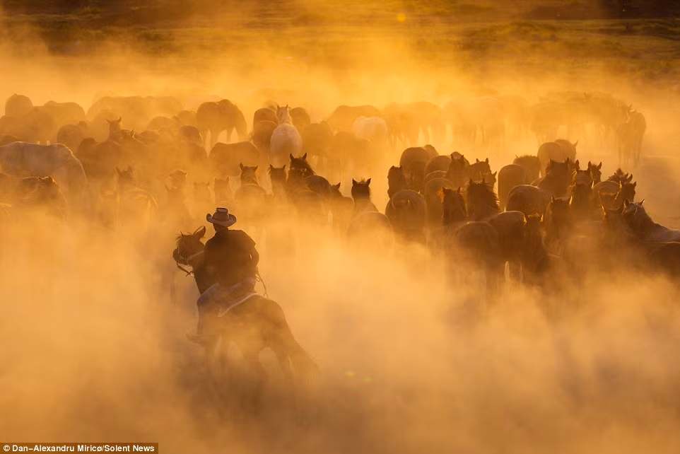 Khung cảnh mờ ảo khi ánh nắng chiều muộn xuyên qua màn bụi trên thảo nguyên.