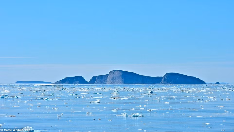 Tỷ lệ băng ở Bắc Cực giảm xuống mức kỷ lục vào tháng 5.2016, khiến gấu Bắc Cực di chuyển rất khó khăn.