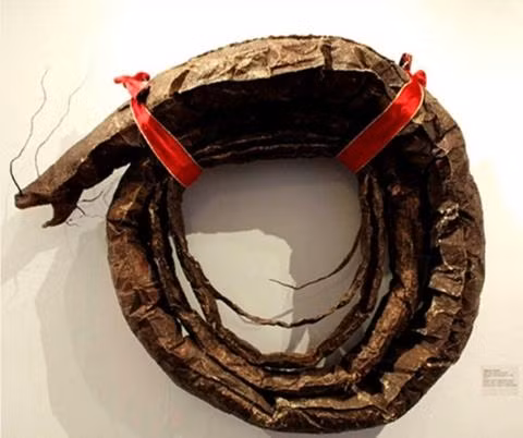 Các chuyên gia đã cuộn tròn sinh vật lạ lại và đưa đi để nghiên cứu thêm.