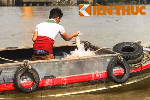 Dam tau hang container tren song Dong Nai, dan lao vao “hoi cua”-Hinh-4