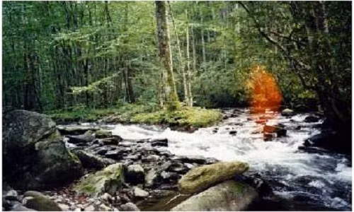 Bóng đỏ mang dáng dấp như một hình người vô tình lọt vào tấm ảnh khiến người chụp dựng tóc gáy.