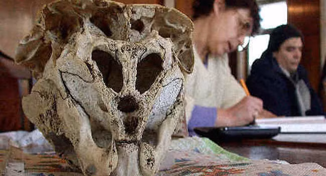 Bi an hop so co hinh dang doc nhat vo nhi o Bulgaria-Hinh-4