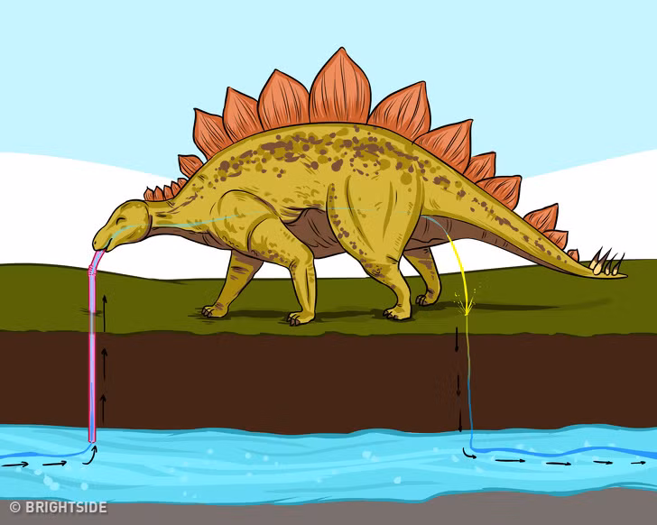 10 su that giat minh cho thay hieu biet cua ta con han hep