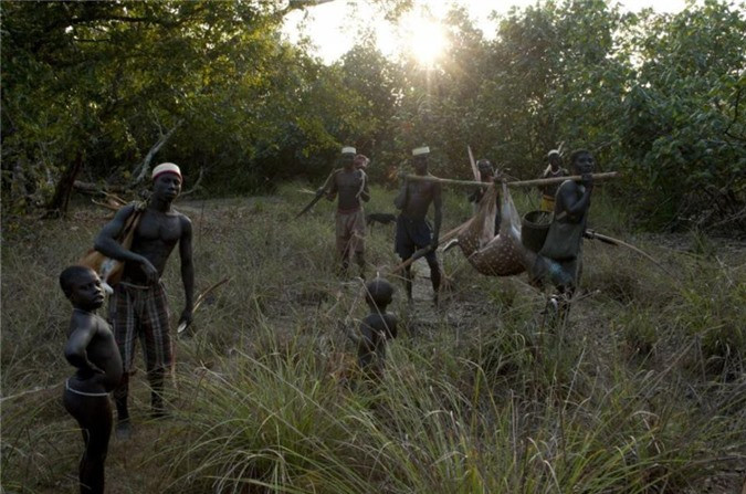 Những kẻ săn trộm cũng đột nhập vào các khu rừng trù phú trên quần đảo hẻo lánh và săn động vật hoang dã, nguồn thức ăn chính để sinh tồn của bộ lạc. Đây là một trong nhiều lý do bộ lạc Jarawa tỏ ra thù địch với người đến từ thế giới bên ngoài. Ước tính có hơn 250.000 chữ ký công khai kêu gọi bảo đảm an toàn cho bộ lạc Jarawa.